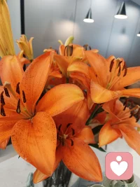 生活没有标准答案，你觉得舒服，就是正确答案。好好吃饭，好好睡觉，好好爱自己，比什么都重要。