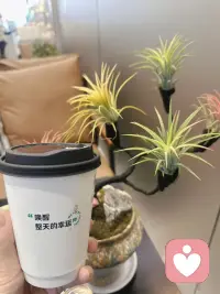 阳光正好，微风不燥。美好的一天，从心出发。