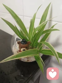 把时间留给滋养你的人，余生自然自在舒心。