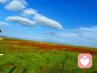 你好呀～我是橘子味的风，一个愿意安静倾听你心事的陌生人。 这里是一个没有评判、没有压力的空间， 你可以放心分享那些藏在心底的情绪： 无论是生活的烦恼、感情的困惑， 还是那些说不出口的小秘密， 我都会在这里，默默陪伴你。 我相信， 每一份情绪都值得被倾听， 每一个故事都值得被温柔对待。 我不是心理专家， 但我愿意用真诚和耐心， 陪你度过那些难熬的时刻。 你可以私信我也可以打电话，让我们共同等待那份风雨过后的彩虹🌈配图