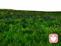 你好呀～我是橘子味的风，一个愿意安静倾听你心事的陌生人。 这里是一个没有评判、没有压力的空间， 你可以放心分享那些藏在心底的情绪： 无论是生活的烦恼、感情的困惑， 还是那些说不出口的小秘密， 我都会在这里，默默陪伴你。 我相信， 每一份情绪都值得被倾听， 每一个故事都值得被温柔对待。 我不是心理专家， 但我愿意用真诚和耐心， 陪你度过那些难熬的时刻。 你可以私信我也可以打电话，让我们共同等待那份风雨过后的彩虹🌈配图