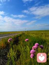 你好呀～我是橘子味的风，一个愿意安静倾听你心事的陌生人。 这里是一个没有评判、没有压力的空间， 你可以放心分享那些藏在心底的情绪： 无论是生活的烦恼、感情的困惑， 还是那些说不出口的小秘密， 我都会在这里，默默陪伴你。 我相信， 每一份情绪都值得被倾听， 每一个故事都值得被温柔对待。 我不是心理专家， 但我愿意用真诚和耐心， 陪你度过那些难熬的时刻。 你可以私信我也可以打电话，让我们共同等待那份风雨过后的彩虹🌈配图