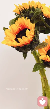 “经历过老公背叛，也熬过孩子青春期叛逆，现在才懂：
婚姻里，‘好好说话’是解药；
亲子间，‘看见情绪’是光。
你不必完美，但要学会在鸡零狗碎里，给自己找糖吃。 
#女性成长 #婚姻修复 #青春期育儿”配图