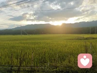 现在的社会节奏快，每天都是匆匆忙忙，忙忙碌碌，你有多久没有抬头看看天空和阳光了？你积累的情绪有多久没有宣泄释放了？很多时候你只需要有个人能倾听你的心声，你会发现阳光依旧耀眼，生活依旧美好。