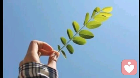 最好的婚姻，是双向奔赴，彼此成全