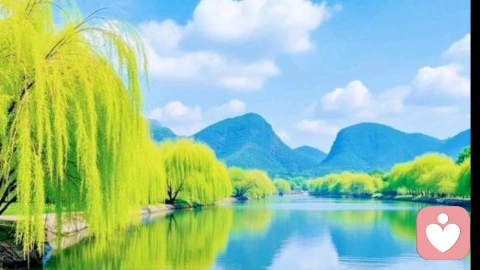 职场，是自我沉淀，向阳生长的修行之路