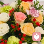 秋秋子的头像