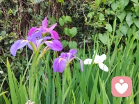 能够让你放下盔甲与防御的一定是陌生人，如果你有烦恼和心事，需要找人倾诉，我在这里等你，静静聆听你的心声，帮你厘清当下的心绪。