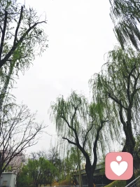 天气的阴沉我们没办法决定，但可以决定的是我们以什么样的心态去度过配图