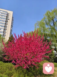 提不起精神的时候，去外面走走，感受下自然中的生命力