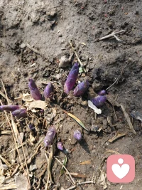 提不起精神的时候，去外面走走，感受下自然中的生命力