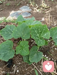 求助不是懦弱，是救赎自己！配图