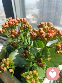 情绪有出口，心就有归途
如你需要，我随时都在