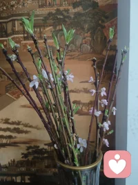 爱的底色，永远是自身的完整与丰盈。
努力和独立，才是你最强的靠山。
你站在自己的屋檐时，世间一切风雨，
便都成了窗外的风景。配图