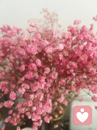 感情里，宁为玉碎，不为瓦全。
与其在低质量的陪伴里委曲求全，
不如在高质量的独处里安然丰盈。
要知道，垃圾饭填得饱肚子，却填不饱心；
路人甲的陪伴，暖不了身，反而会耽误那个对的人。配图