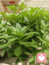 世间最好的风水，从来不是昂贵的外饰，而是身边有一个愿与你同频的人。
男人最大的底气，源于身后那份懂他的支持；女人最大的光芒，来自心底那份稳稳的信任。
幸福或许不需要金碧辉煌，只要清晨有热粥，归来有灯火。
在每一个忙碌的日子里，因为知道有人在等，脚步便更有力量；在每一段平凡的旅途里，因为有人牵挂，眉眼间便自带笑意。
最好的关系，是两个独立的灵魂，互为港湾，彼此成就。
你不负我，我便不离不弃。在烟火气里相伴，在平淡中相守。
这份温情，如同岁月里的暖阳，不灼人，却足以御寒。
它让坚硬的生活变软，让迷茫的日子有光。
所谓余生，不过是：你在身边，就是我最好的滋养。配图