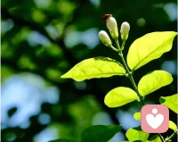 人世间美好与你环环相扣
所有的不顺都是命运对你的考验
只要我们用心真诚地面对
想办法去解决
那么一切的美好也将接踵而来配图