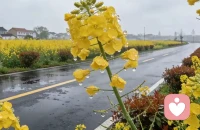 慢慢来，谁都有翻山越岭的勇气，也值得被好好爱着。配图