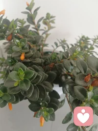  爱不是枷锁，是累的时候有人牵着手，一起慢慢走。配图