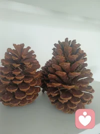  以前总在意输赢，现在只在乎输赢是否值得。
人生下半场，拼的不是热闹，而是内心的笃定与平和。配图