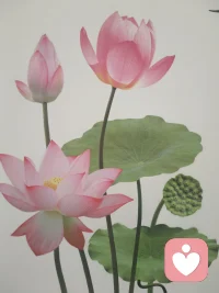 风听花信，我听心声。不被定义，不失自由，
做一个情绪稳定的成年人。外界嘈杂，
我自向阳，把生活过成自己喜欢的模样。配图