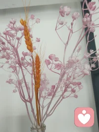 日子如山间清风，如溪上明月。
不再强求所有回应，只专注做好自己，
心无挂碍，便是整个春天。配图