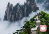 不必等谁救赎，不必盼谁照亮。
你想要的生活，自己去挣；
你想去的远方，自己抵达。
敢对自己下狠手，
才配拥有想要的人生。
自己，才是一生最靠谱的归宿。配图