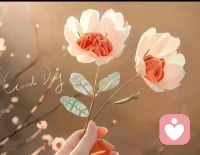 失去的都是风景，留下的才是人生，
好好告别，好好生活。配图