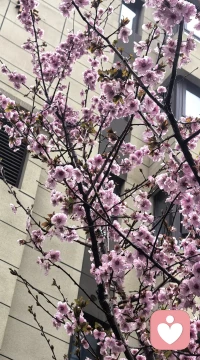 变好这件事，从来都只能靠自己。
没人能一直为你撑伞，
没人能永远替你撑腰。
独自扛过低谷，默默熬过黑暗，
你才会成为自己最踏实的底气。
靠自己，才是终身浪漫。配图