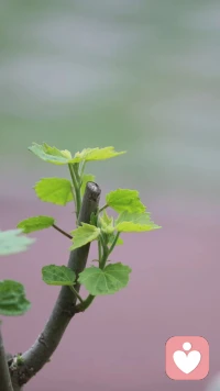 别把人生的希望，寄托在别人身上，
别人给的，随时可能收回；
自己挣的，才永远属于自己。
真正的安全感，
从来不是来自他人的给予，
而是源于自身的强大。
 
跌倒了，自己爬起来；
受伤了，自己疗愈好；
迷茫了，自己找方向。
生活不会偏爱谁，
但会眷顾那些不肯认输、
默默努力、踏实前行的人。
 
熬过无人理解的时刻，
扛住无人依靠的日子，
你会慢慢发现，
自己才是最可靠的港湾，
自己才是最坚实的后盾。
靠自己走过的路，每一步都算数；
靠自己活成的模样，最耀眼也最从容。配图