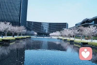 时光里的温柔，藏着最真的情感
 
我们这一生，都在与情感相拥而行。它不像烟火那般耀眼夺目，却像深夜里的一盏灯，寒冬里的一杯暖茶，悄无声息地，撑着我们走过无数个难熬的时刻。
 
年少时的情感，热烈又莽撞，喜欢就大声说，在意就拼命靠近，以为真心能换来所有圆满，以为陪伴就能走到永远。后来慢慢懂得，情感从不是单方面的奔赴，也不是轰轰烈烈的誓言，而是细水长流的牵挂，是不言不语的懂得。
 
有些情感，藏在日常的琐碎里。是清晨递来的一杯温水，是疲惫时一个安静的拥抱，是争吵后依旧不愿放手的温柔，是远在他乡时，一句简单的“还好吗”。它不惊天动地，却足够温暖人心，让我们知道，自己从来都不是孤身一人。
 
也有些情感，注定只能藏在心底。或许是错过的遗憾，或许是难言的牵挂，或许是只能远远看着的祝福。不打扰，不纠缠，把那份心意妥帖安放，在岁月里慢慢沉淀，成了一段温柔的回忆，不伤人，也不伤己。
 
我们总会在情感里受伤，会失望，会难过，会因为一句无心的话耿耿于怀，会因为一次转身暗自落泪。可正是这些欢喜与失落，让我们学会了珍惜，学会了包容，也学会了与自己和解。
 
真正好的情感，从不是捆绑与消耗，而是彼此滋养，共同成长。是你懂我的欲言又止，我知你的言外之意；是即便历经风雨，依旧愿意握紧彼此的手；是就算平淡度日，也能在柴米油盐里，品出岁月的甜。
 
愿我们都能在漫长时光里，守住心底的温柔，珍惜身边的真情。不辜负每一份真心，不执念每一份过往，带着爱与温暖，好好生活，慢慢相遇，让每一段情感，都成为生命里最柔软的光。配图