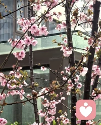 生活最好的状态，是“忙”有所获，“闲”有所乐。
把时间和精力，都留给真正重要的人和事。配图