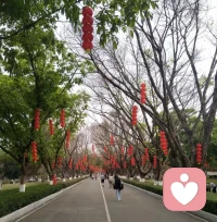 所有的成长，都是为了在这个熙攘的世界里，
更从容地做自己。不讨好，不将就，活成自己喜欢的模样。配图