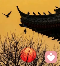 日子虽平凡，只要用心过，每一天都是限量版。
承认并接纳自己的普通，才是对生活最大的深情。配图