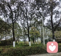 后来才明白，有些告别就是最后一面。
没有惊天动地的争吵，没有郑重其事的道别，只是慢慢少了问候，渐渐断了联系。
我们都默契地不再打扰，把曾经的欢喜与心动，悄悄藏进岁月里。
原来成年人的离开，从来都是静悄悄的。
风会带走旧故事，却带不走心里轻轻一疼的回忆。配图