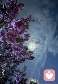 很多感情的散场，并非不爱了，而是“不懂”了。你以为的付出，可能是对方的负担；你沉默的等待，可能被误读为冷漠。爱不是理所当然的默契，而是耐心的沟通。记得说出你的委屈，也认真倾听对方的需求；学会表达爱意，更学会看见对方背后的渴望。懂得，是爱里最温柔的光。