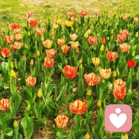 人生难免有低谷，那些让你焦虑、迷茫甚至痛苦的时刻，都是生活的一部分。与其对抗，不如坦然接纳。允许情绪流通过，允许事情不完美，允许一切发生。当你不再执着于“为什么是我”，而是试着问“我能学到什么”时，心结自然会解开。风雨过后，你会比之前更强大。