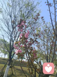 我们心里都住着一个小孩，藏着未被满足的期待，和未曾愈合的委屈。当感到孤独或难过时，试着摸摸自己的头，对自己说一句：“别怕，我在。”多给内心一点温柔与耐心，少一点苛责与评判。当你开始好好爱自己，那些向外求索的不安，都会向内归于平静。