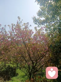 有些事，只能一个人做；
有些关，只能一个人过；
有些路，只能一个人走。