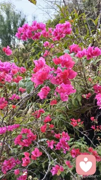  不必事事渴求理解与认同，安静过好自己就行。