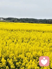 人生本就是马不停蹄的相遇和错过。