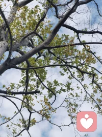 一切都会好的配图