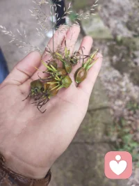 不催你释怀，不劝你坚强。我懂你的身不由己，接纳你的所有情绪，陪你慢慢自愈、慢慢变好。配图