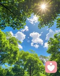 阳光明媚的一天  新的开始，新的希望