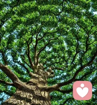 很多痛苦不是来自事情本身，而是来自我们对自己的苛刻。