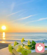  难过就哭一场，天亮了依旧是新的开始。