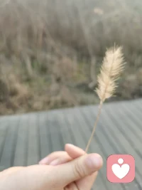 当情绪困住你，当思绪乱糟糟，当无人懂你的时候，不妨找个人好好说一说。专业倾听服务，全程保密、无条件接纳，帮你疏导负面情绪，梳理内心困惑，陪你慢慢走出情绪低谷，找回轻松的自己。配图