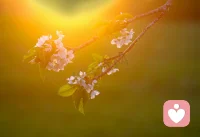 清晨又悄悄来了，阳光慢慢推开迷雾，可我知道——很多人的心里，还没从昨晚的情绪里走出来。
 
也许你昨夜辗转难眠，心里压着说不出口的委屈；也许你明明很累，却还要硬撑着坚强；也许你常常笑着面对所有人，唯独忘了心疼偷偷难过的自己。那些藏在沉默里的焦虑、压在心底的遗憾、说出来怕矫情、不说又堵得慌的心事，我都懂。
 
你不用时时刻刻都那么勇敢，也不必逼自己做到面面俱到。累了就放慢脚步，难过就允许自己低落一会儿，脆弱从来都不是错，愿意承认自己撑不住，也是一种温柔。你不需要把所有情绪都悄悄咽下去，也不需要独自扛下所有压力。
 
我在这里，做你安心的树洞，做愿意认真倾听你的那个人。不用伪装，不用客套，想说什么都可以。
 
新的一天，不求你立刻变好，只愿你慢慢放松。把心里的重担轻一点放下来，给自己一点喘息的空间。愿今天的风，能吹散你的不安；愿此刻的晨光，能轻轻温暖你的心。
 
早安，我一直都在❤️配图