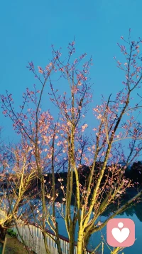 🌙 深夜emo、委屈憋泪、焦虑到失眠？
我是你的专属心理倾听师👩⚕
不评判、不打断、不灌鸡汤
只做你最安心的情绪树洞
不管是难开口的心事，还是没人懂的疲惫
都可以慢慢说，全程保密✨
今天第一天上线，等你来找我聊聊～