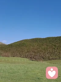 这样的蓝天你喜欢吗，这是我的家乡。配图